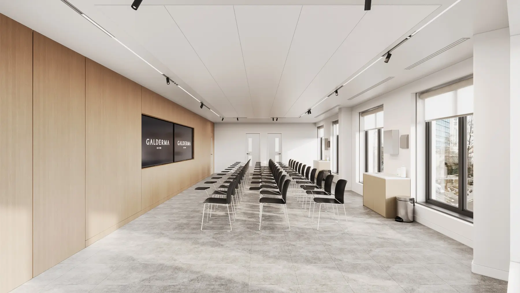 Town hall + presentation developed Galderma visual